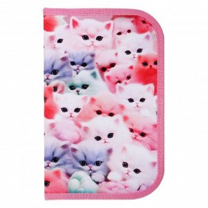 Пенал школьный, 1 секция, 13x21x4 см «Котики пушистики»