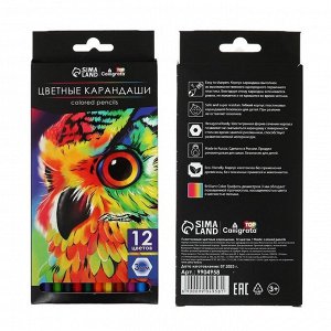 Карандаши цветные 12 цветов Calligrata Soft, заточенные, шестигранные, пластиковые, картонная упаковка, европодвес