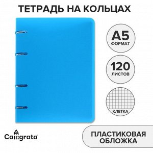 Тетрадь на кольцах, в клетку, 120 листов "Голубая", пластиковая обложка, блок офсет