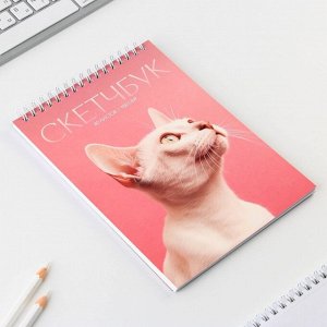 Скетчбук А5, 40 л 100 г/м² «Кошка»