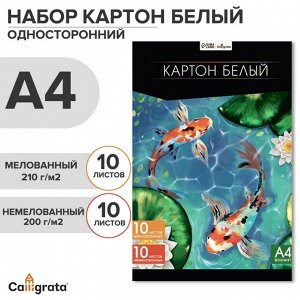 Картон белый А4, 20 листов: 10 листов мелованного плотность 200г/м2, 10 листов немелованного