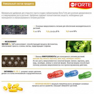 Удобрение минеральное BONA Forte Весна-Лето универсальное 1,5л канистра жидкое