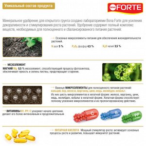 Удобрение минеральное BONA Forte для клумбовых и розовых гортензий 1,5л канистра жидкое