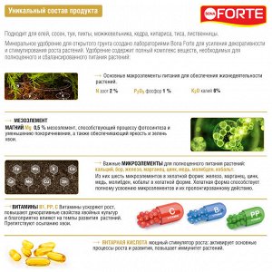 Удобрение минеральное BONA Forte Для хвойных растений 1,5л канистра жидкое