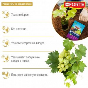Удобрение BONA Forte комплексное гранулированное микроэлементы Для винограда 2кг пакет