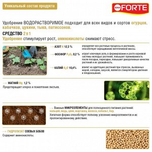 Удобрение водорастворимое BONA Forte Для огурцов кабачков аминокислоты 100г саше
