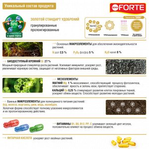 Удобрение BONA Forte пролонгированное гранулированное биодоступный кремний Хвойное 2,5кг пакет