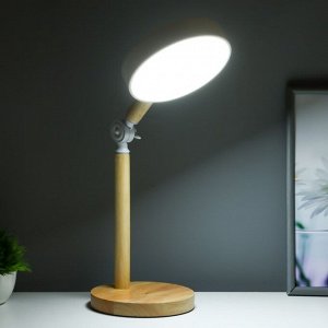 Настольная лампа "Пиатти" LED 5Вт 4000К USB белый 15х25х45см RISALUX
