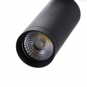 Светильник BayerLux "Лани" LED 68Вт черно-золотой 29,5х14х89 см