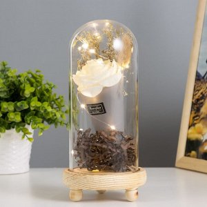 Фигурка светящаяся колба RISALUX «Роза в букете», LED-ночник, 3ААА, 10x10x20 см
