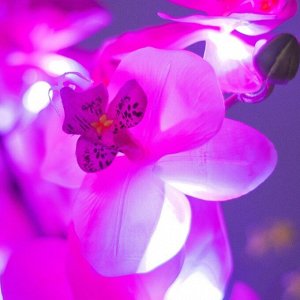 Ночник "Орхидея" 18хLED 4000К розовый 20х20х60см RISALUX