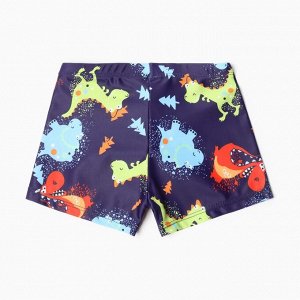 Купальные трусы для мальчика MINAKU Dino.
