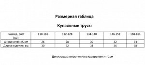 Купальные трусы детские KAFTAN "Горы" рост 110-116 (6)