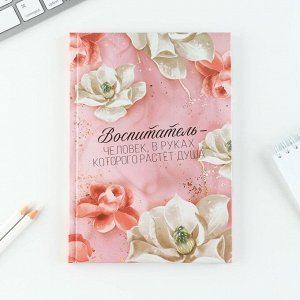 Подарочный набор «Воспитателю: Воспитатель»: ежедневник А5, 80 листов, планинг, ручка, блок бумаг