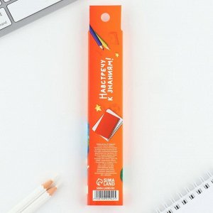 Ручка пиши-стирай, 9 стержней, синяя паста, гелевая, 0.5 мм, набор,«Выпускник»