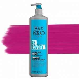 BH CARE Шампунь увлаж. д/сухих и поврежденных волос Recovery 970мл Арт-68654200/433357