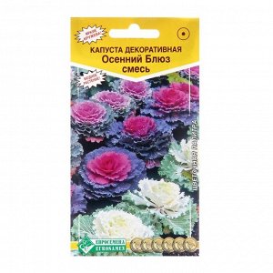 Семена цветов Капуста декоративная "Осенний блюз" смесь, 30 шт