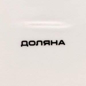Блюдо для подачи Доляна «Зелёный сад», 25x18.5 см, фарфор, белое