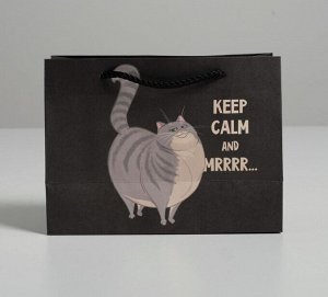 Пакет подарочный «Keep calm», 14,5 × 19,5 × 8,5 см