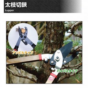 Hounen Kihan Японский профессиональный сучкорез Hounen Kamaki A-062