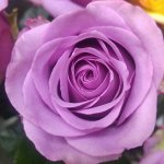 Кул Ватер