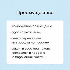 Набор для рассады: стаканы по 250 мл (18 шт.), поддон 40x20 см, цвет МИКС, Greengo