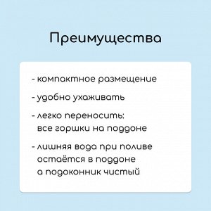 Набор для рассады: стаканы по 250 мл (6 шт.), контейнер 24 x 16 см, МИКС