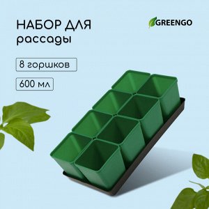 Набор для рассады: стаканы по 600 мл (8 шт.), поддон 36 x 18 см, цвет МИКС, Greengo