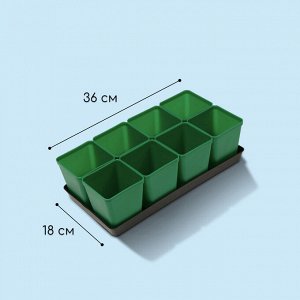 Набор для рассады: стаканы по 600 мл (8 шт.), поддон 36 x 18 см, цвет МИКС, Greengo