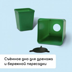 Набор для рассады: стаканы по 600 мл (8 шт.), поддон 36x18 см, цвет МИКС, Greengo