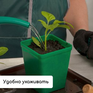 Набор для рассады: стаканы по 600 мл (8 шт.), поддон 36 x 18 см, цвет МИКС, Greengo