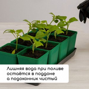 Набор для рассады: стаканы по 600 мл (8 шт.), поддон 36x18 см, цвет МИКС, Greengo