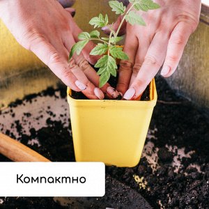 Набор для рассады: стаканы по 200 мл (18 шт.), поддон 36.5x17 см, цвет МИКС, Greengo