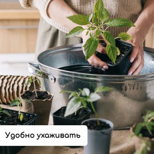 Набор для рассады: стаканы по 320 мл (18 шт.), поддон 51 x 26 см, Greengo