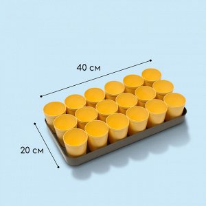 Набор для рассады: стаканы по 250 мл (18 шт.), поддон 40x20 см, цвет МИКС, Greengo