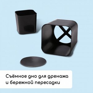 Набор для рассады: стаканы по 500 мл (10 шт.), поддон 40x19.5 см, МИКС, Greengo