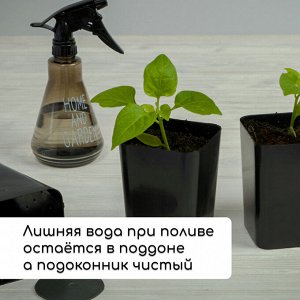 Набор для рассады: стаканы по 300 мл (12 шт.), поддон 45x18 см, МИКС, Greengo