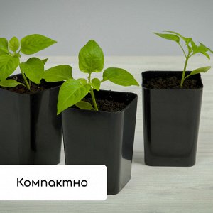 Набор для рассады: стаканы по 300 мл (12 шт.), поддон 45x18 см, МИКС, Greengo
