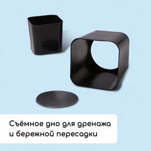 Набор для рассады: стаканы по 300 мл (12 шт.), поддон 45x18 см, МИКС, Greengo