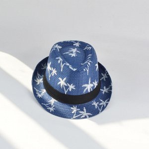 Мужская солнцезащитная шляпа с принтом, цвет синий