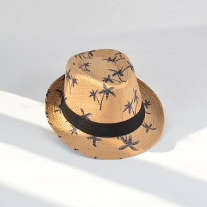 Мужская солнцезащитная шляпа с принтом, цвет коричневый