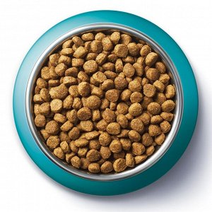 Сухой корм для кошек Purina ONE при домашнем образе жизни с индейкой и цельными злаками 200 г