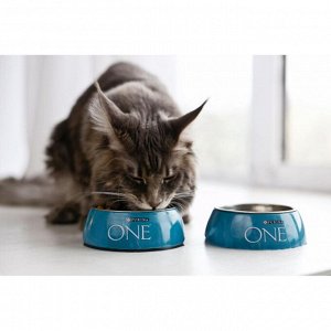 Сухой корм для кошек Purina ONE при домашнем образе жизни с индейкой и цельными злаками 200 г