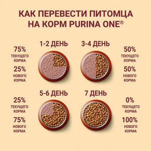 Purina ONE сухой корм для взрослых собак средних и крупных пород с говядиной и рисом - 10 кг
