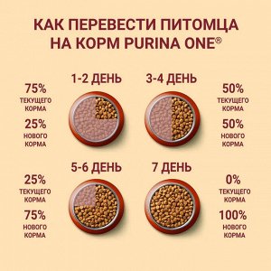 Сухой корм для щенков средних и крупных пород Purina ONE Puppy с курицей и рисом 700 г