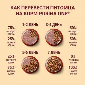 Сухой корм для взрослых собак средних и крупных пород Purina ONE с ягненком и рисом 10 кг