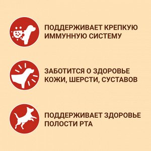 Purina ONE сухой корм для взрослых собак средних и крупных пород с говядиной и рисом - 10 кг