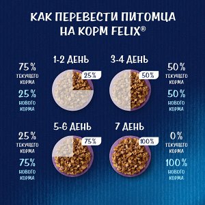 Суп Корм для кошек Феликс с говядиной, пауч (48 г)