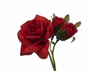 Роза Сад Франции мини красная 15 см