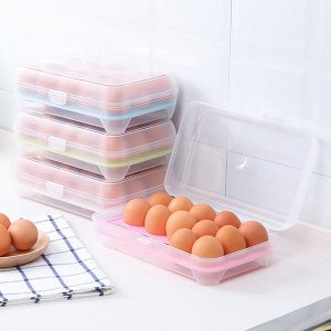 Контейнер для яиц с крышкой (пластиковый), 15 ячеек